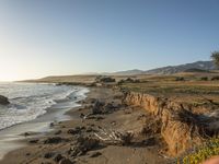 a grassy field by the shore and a cliff with rocks in the ocean in the background