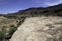 trees and rocks are seen near the edge of the river in the canyon area of the guadalupe