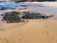 the beach has a group of stones near the water's edge and shore,