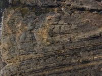 an aerial image shows the rock wall at the top of a cliff, with vegetation growing on top of it