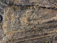 an aerial image shows the rock wall at the top of a cliff, with vegetation growing on top of it