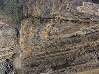 an aerial image shows the rock wall at the top of a cliff, with vegetation growing on top of it