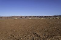 a dry field in an arid area with mountains in the distance under blue skys