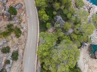 the view of a car on a road over a forested area with water and rocks