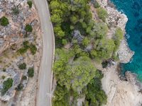 the view of a car on a road over a forested area with water and rocks