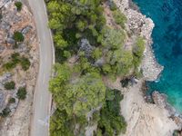 the view of a car on a road over a forested area with water and rocks