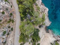 the view of a car on a road over a forested area with water and rocks