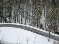 Aerial View of Snowy Forest Path
