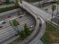 an overhead view of a freeway through palm trees in beverly, california usa during the day