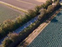 an aerial view of farm fields and field to the left of the picture, with a road passing through the middle of the middleground