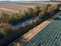 an aerial view of farm fields and field to the left of the picture, with a road passing through the middle of the middleground