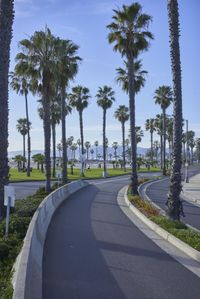 Aerial View of Los Angeles Coastal Road
