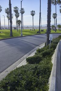 Aerial View of Los Angeles Coastal Road