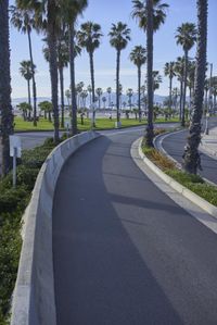 Aerial View of Los Angeles Coastal Road