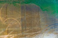 abstracted photo of a horse and a dog in the mud with a green sky behind them