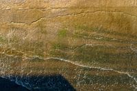 Aerial View of Los Angeles Suburban Landscape