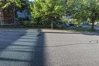 a street view of several trees in an empty residential area, with apartment complexes behind it