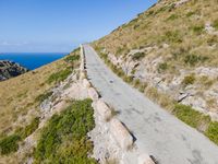 paved walkway on mountain above a grassy cliff and ocean views over the water as seen from the top