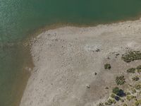 an aerial view of people wading in the water near shore rocks and sand with a paddle board