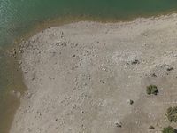 an aerial view of people wading in the water near shore rocks and sand with a paddle board