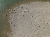 an aerial view of people wading in the water near shore rocks and sand with a paddle board