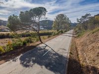Aerial View of Portugal's Rural Roads
