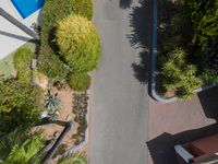 a bird - eye view of an outdoor area and a driveway with trees around it