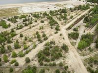 aerial view of large open country road between trees and sand dunes above river, near roadway in scenic rural area