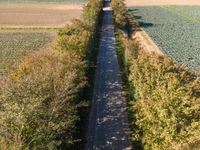 truck on train track in a field of crops and rows of trees as seen from above