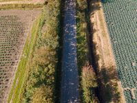 truck on train track in a field of crops and rows of trees as seen from above