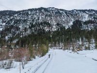 a snow covered slope with a road in the middle of it and several trees around