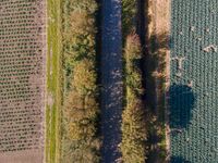 this is an aerial photo from a plane, of the land next to a road