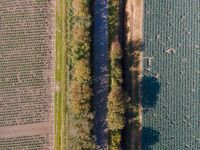 this is an aerial photo from a plane, of the land next to a road