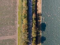 this is an aerial photo from a plane, of the land next to a road