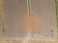 Aerial View of Rural Landscape in the Netherlands 001