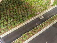 a view of a road and an overpass with traffic passing through it by buildings