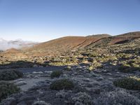 Aerial View of Tenerife, Spain