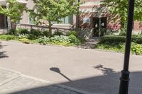 the outside sidewalk and walkway area of a modern office building near a tree lined street