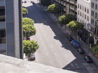 Aerial View of Urban Vegetation in Business District 001