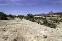 Aerial View of Canyonlands Landscape in Utah