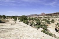 Aerial View of Canyonlands Landscape in Utah