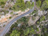 an aerial shot of a winding mountain road with traffic passing through it and pine covered hills