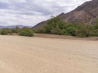 African Highland: A Scenic Dirt Road Amidst Nature