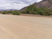 African Highland: A Scenic Dirt Road Amidst Nature