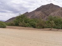 African Highland: A Scenic Dirt Road Amidst Nature