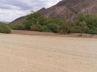 African Highland: A Scenic Dirt Road Amidst Nature