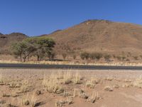 Africa's Mountain Landscape: A Beautiful Blend of Nature and Trees