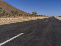 Africa Nature: Mountain, Tree, and Road