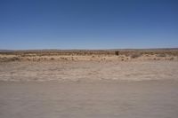 a picture of the desert with no vegetation in it a sky background and an airplane flying