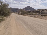 African Landscape: Dirt Road Surrounded by Nature